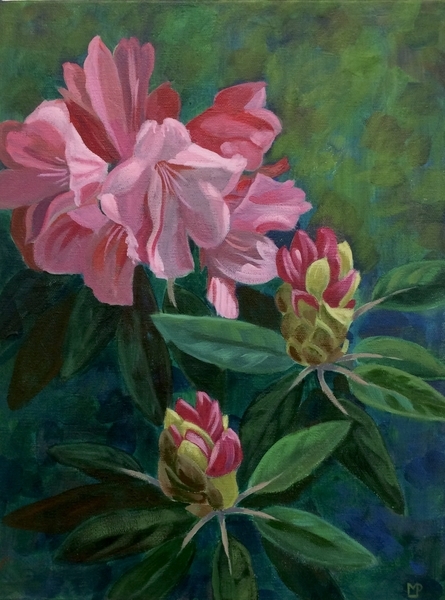 Rhodo